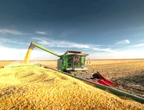 ریشه فشار ارزی در کجای کشاورزی است؟