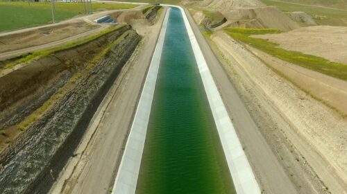 تغییر سیاست الگوی کشت با حذف ارز ترجیحی شدنی است