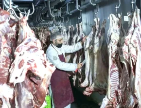 قیمت واقعی گوشت قرمز چقدر است؟