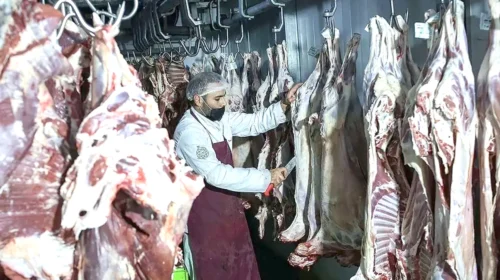 قیمت واقعی گوشت قرمز چقدر است؟