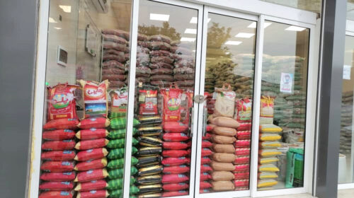 قیمت برنج در دولت چهاردهم ۳ برابر شد