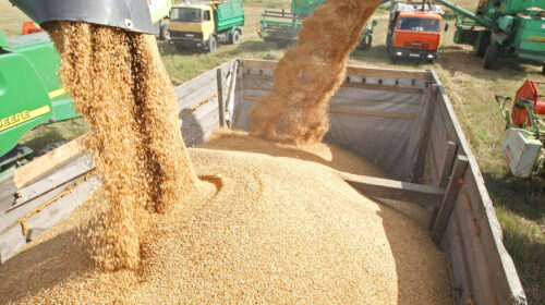 پشت‌پرده تأمین غلات ایران از روسیه