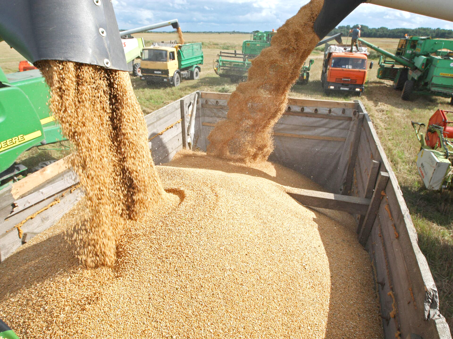 پشت‌پرده تأمین غلات ایران از روسیه