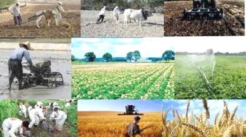 تنگه هرمز چطور در حال تغییر شاخص جهانی غذا و کشاورزی دنیاست؟