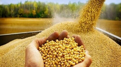 سونامی قیمت در بازار نهاده‌های کشاورزی در بازارهای جهانی