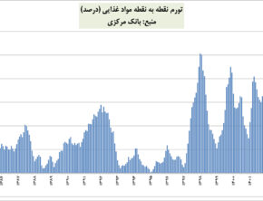 کارنامه مردودی یک کارگروه/ سومین تورم بالای ۱۰۰ درصدی موادغذایی