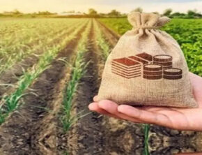 ارزیابی حوزه کشاورزی و منابع طبیعی در بودجه ۱۴۰۵