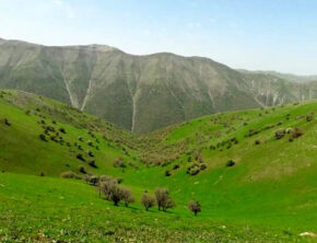 مراتع فراموش‌شده؛ راه کاهش ریسک واردات نهاده در زنجیره پروتئین