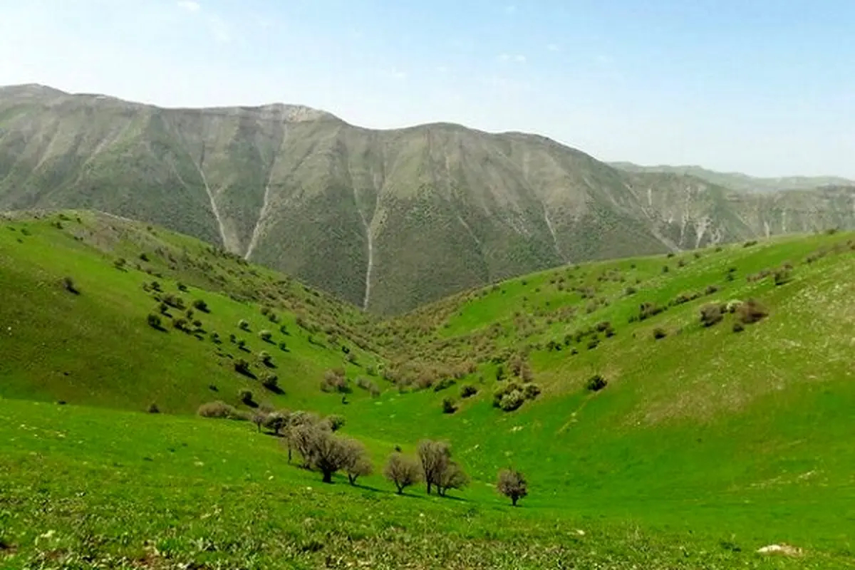 مراتع فراموش‌شده؛ راه کاهش ریسک واردات نهاده در زنجیره پروتئین