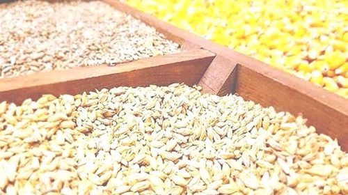 فروش گسترده غلات آمریکا به ایران؛ از ادعا تا واقعیت