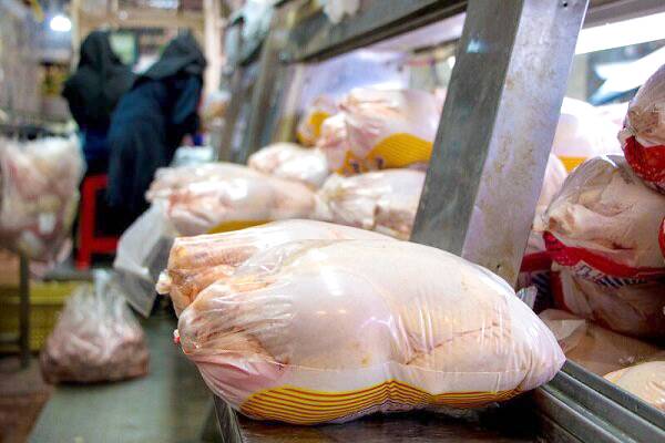بحران در بازار مرغ؛ خروج اجباری تولیدکنندگان با فقدان توجیه اقتصادی