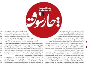 تصمیمات غلط دولت عامل گرانی مرغ است