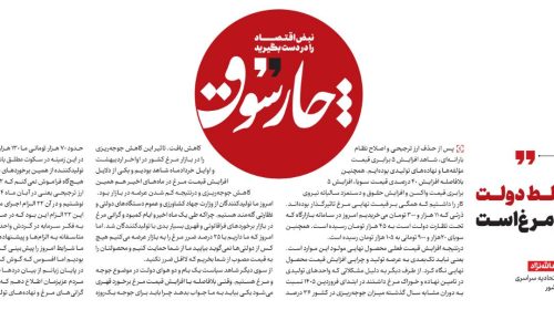 تصمیمات غلط دولت عامل گرانی مرغ است