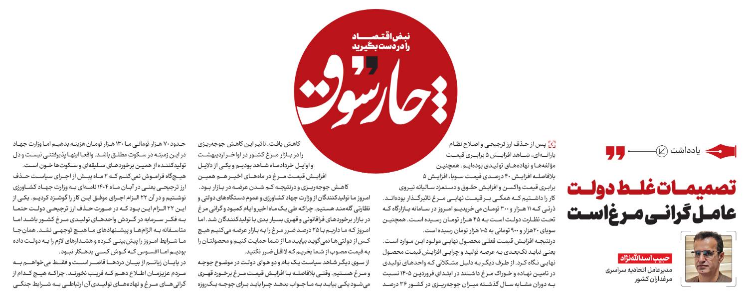 تصمیمات غلط دولت عامل گرانی مرغ است