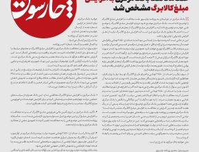 علت مخالفت بانک مرکزی با افزایش مبلغ کالابرگ مشخص شد