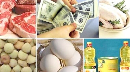 حذف ارز ترجیحی؛ اصلاح اقتصادی یا چالشی تازه برای معیشت؟