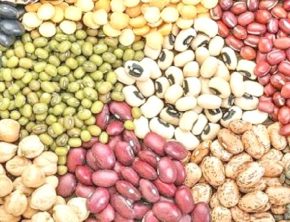 قیمت حبوبات در کشور از نرخ جهانی پایین‌تر است