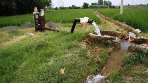 قطع برق بخش کشاورزی خسارت ۱۰ تا ۷۰ درصدی بر تولید محصولات اساسی وارد می‌کند