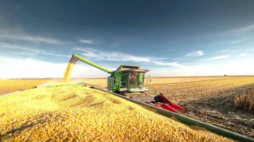 سرنوشت خودکفایی گندم به کجا رسید؟