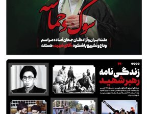 نگاهی گذرا به زندگی‌نامه حضرت آیت‌الله‌العظمی شهید سیدعلی حسینی خامنه‌ای/3