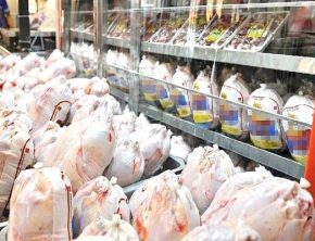 راهکار تنظیم بازار مرغ و خروج مرغداران از زیان چیست