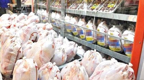 راهکار تنظیم بازار مرغ و خروج مرغداران از زیان چیست
