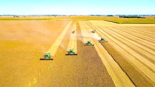 امنیت غذایی کشور چگونه تامین می‌شود؟