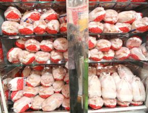 راهکار بازگشت مرغ به مسیر آرامش و تعادل چیست؟