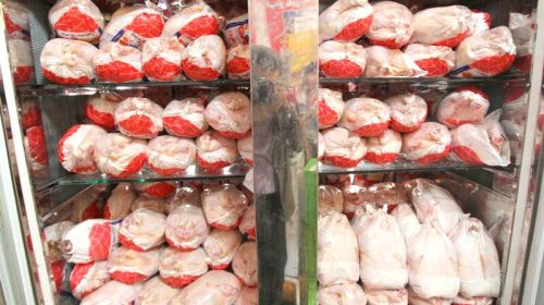 راهکار بازگشت مرغ به مسیر آرامش و تعادل چیست؟